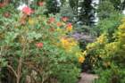 img_9928_small.jpg