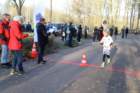 img_8668_small.jpg